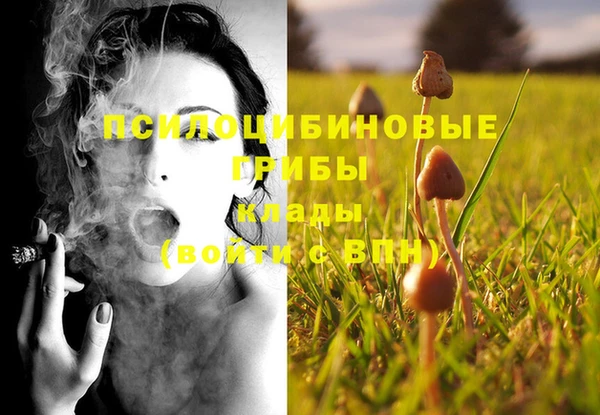 2c-b Нефтегорск