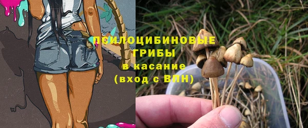 2c-b Нефтегорск