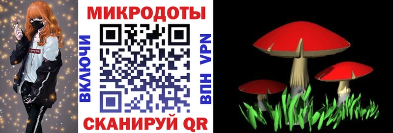 Галлюциногенные грибы Psilocybine cubensis  Фёдоровский 